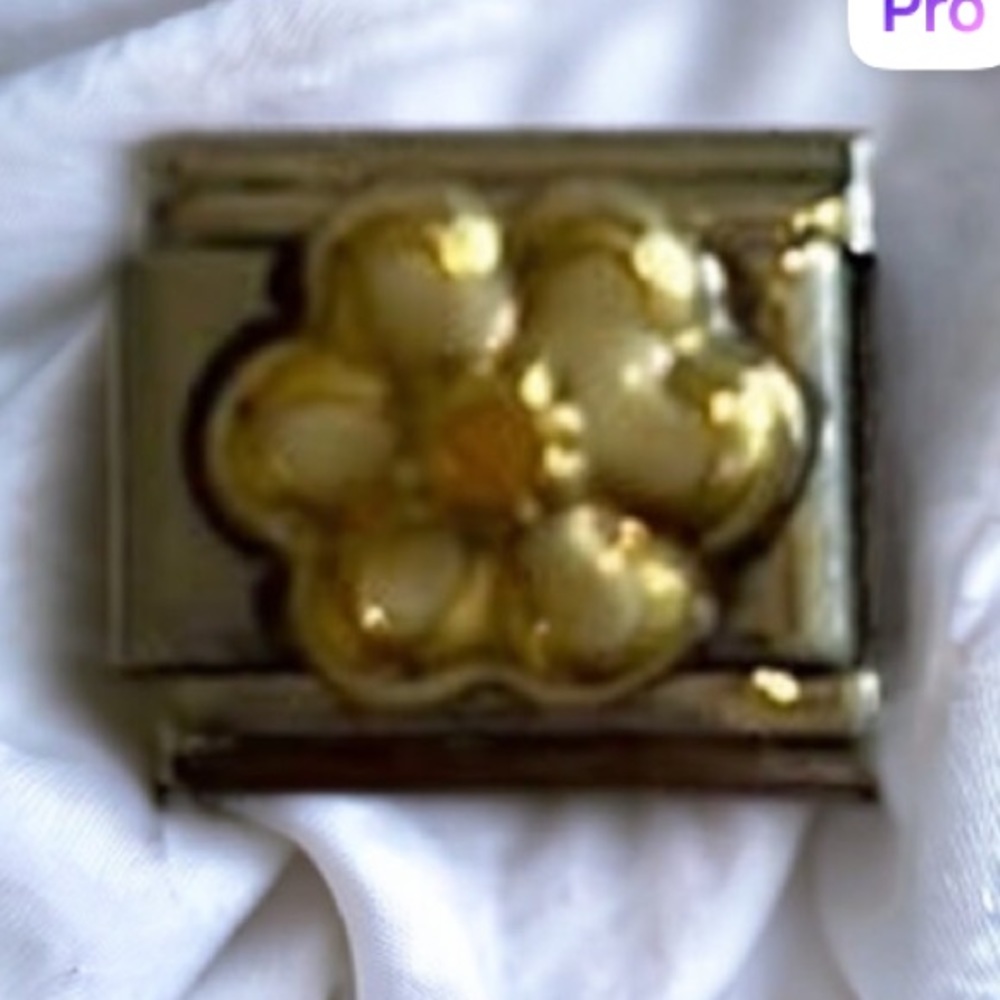 ZOPPINI (nomination) 2/$25 white flower bracelet link